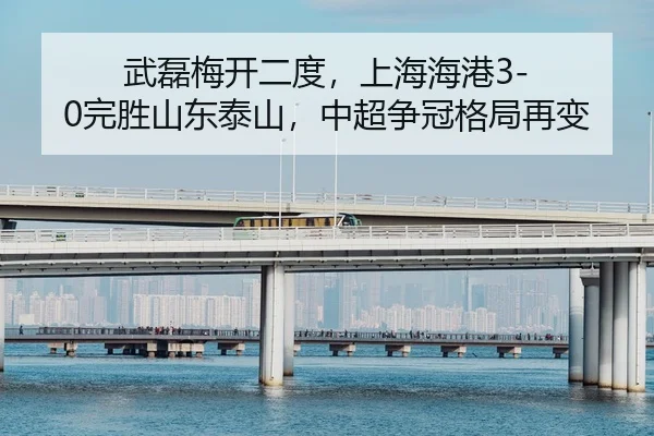 wu-lei-mei-kai-er-du-shang-hai-hai-gang-wan-sheng-shan-dong-tai-shan-zhong-chao-zheng-guan-ge-ju-zai-bian-2-420.jpg