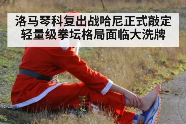 洛马琴科复出战哈尼正式敲定 轻量级拳坛格局面临大洗牌